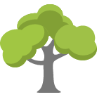 Anoka Tree Removal